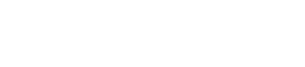 Nurse Web logo